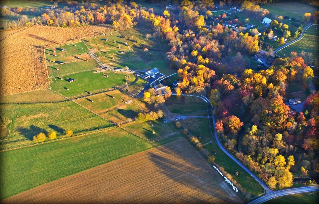 Whitetail Deer Farms