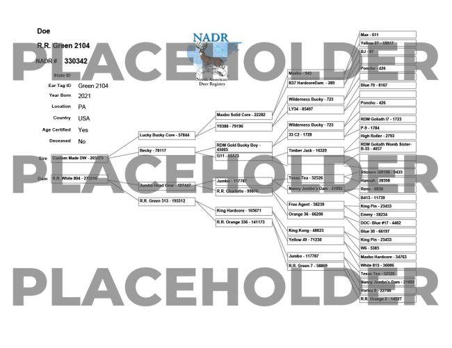 Placeholder Pedigree chart