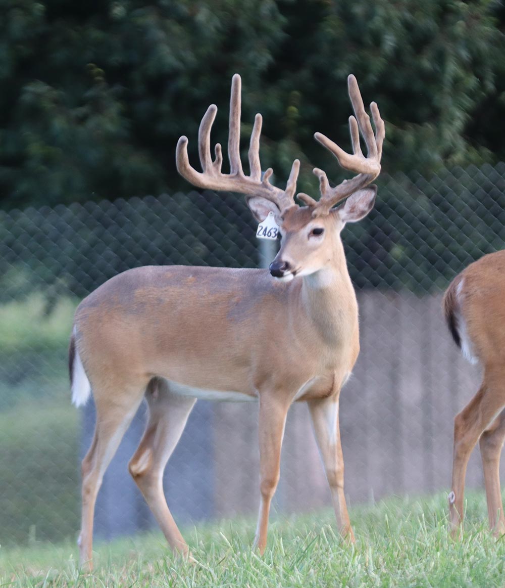 North Star @ 1 8-16-25 web