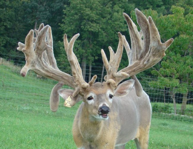 Complex @ 4 DSC07226