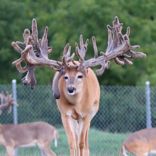 Keystone @ 2 8-19-24_