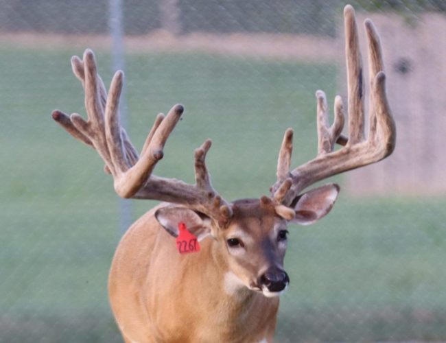 Missile @ 3 8-16-25...