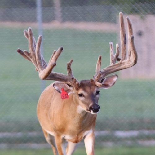 Missile @ 3 8-16-25...