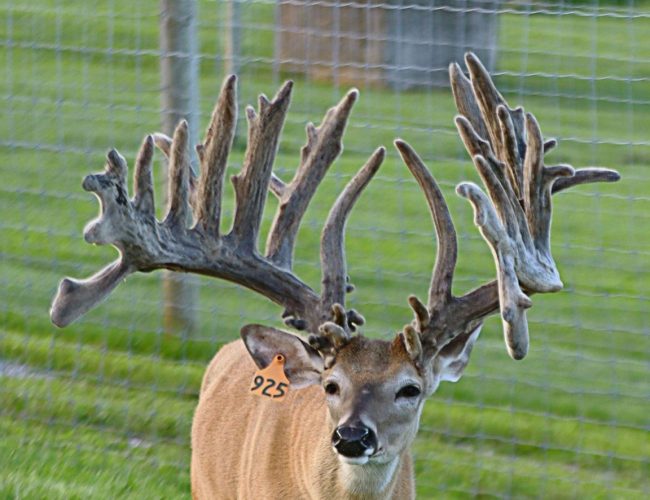 Navigator @ 4 main pic